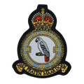 Patch 322 Squadron: King George